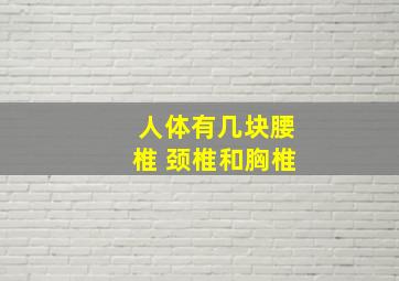 人体有几块腰椎 颈椎和胸椎